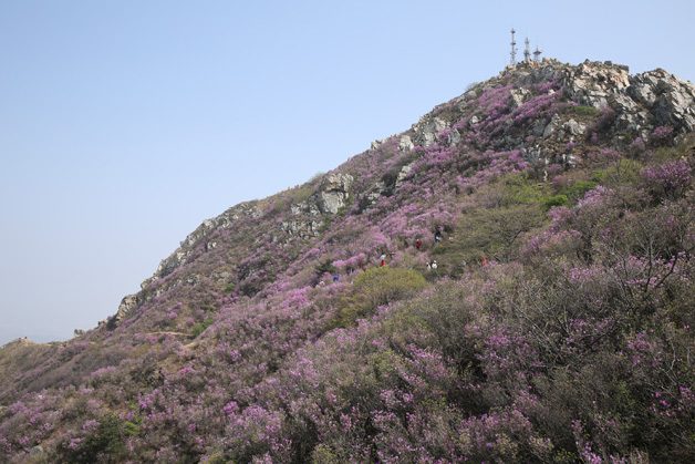 中国·3044永利集团(集团)有限公司-官方网站