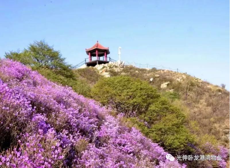 中国·3044永利集团(集团)有限公司-官方网站